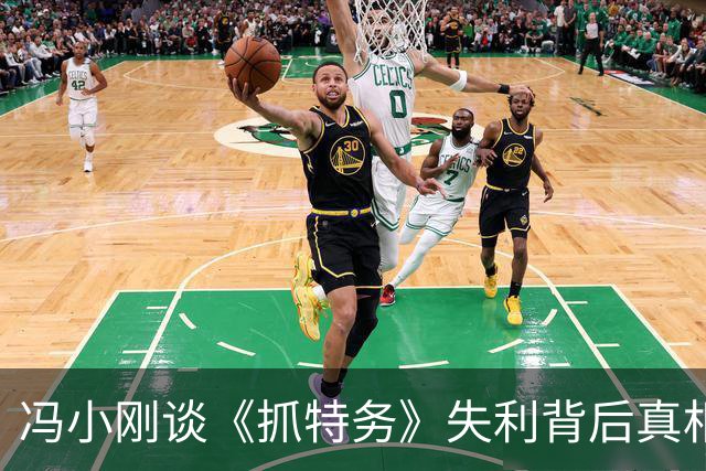 冯小刚谈《抓特务》失利背后真相，韩红言论并非唯一因