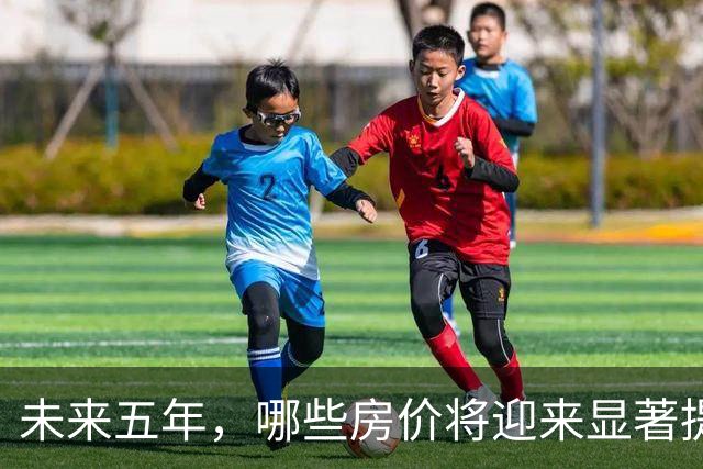 未来五年，哪些房价将迎来显著提升？